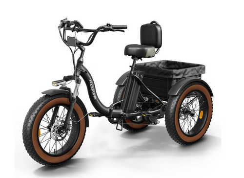 Alaskan Electric Tricycle