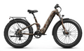 Boxer ST Ebike