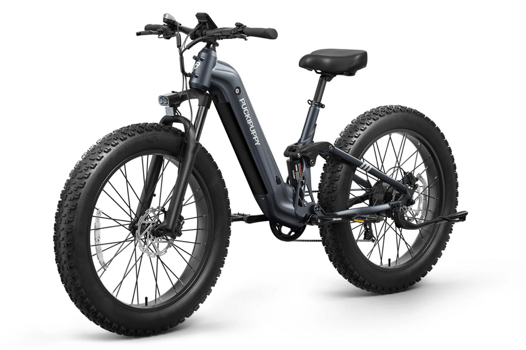 Boxer ST Ebike