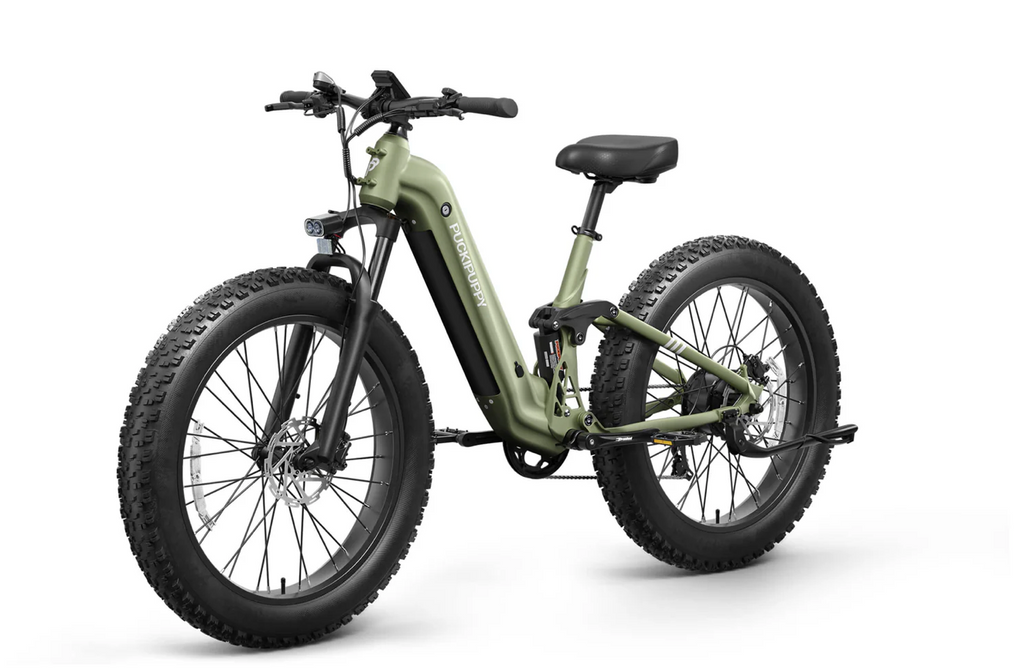 Boxer ST Ebike
