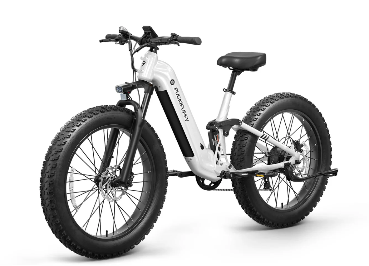 Boxer ST Ebike