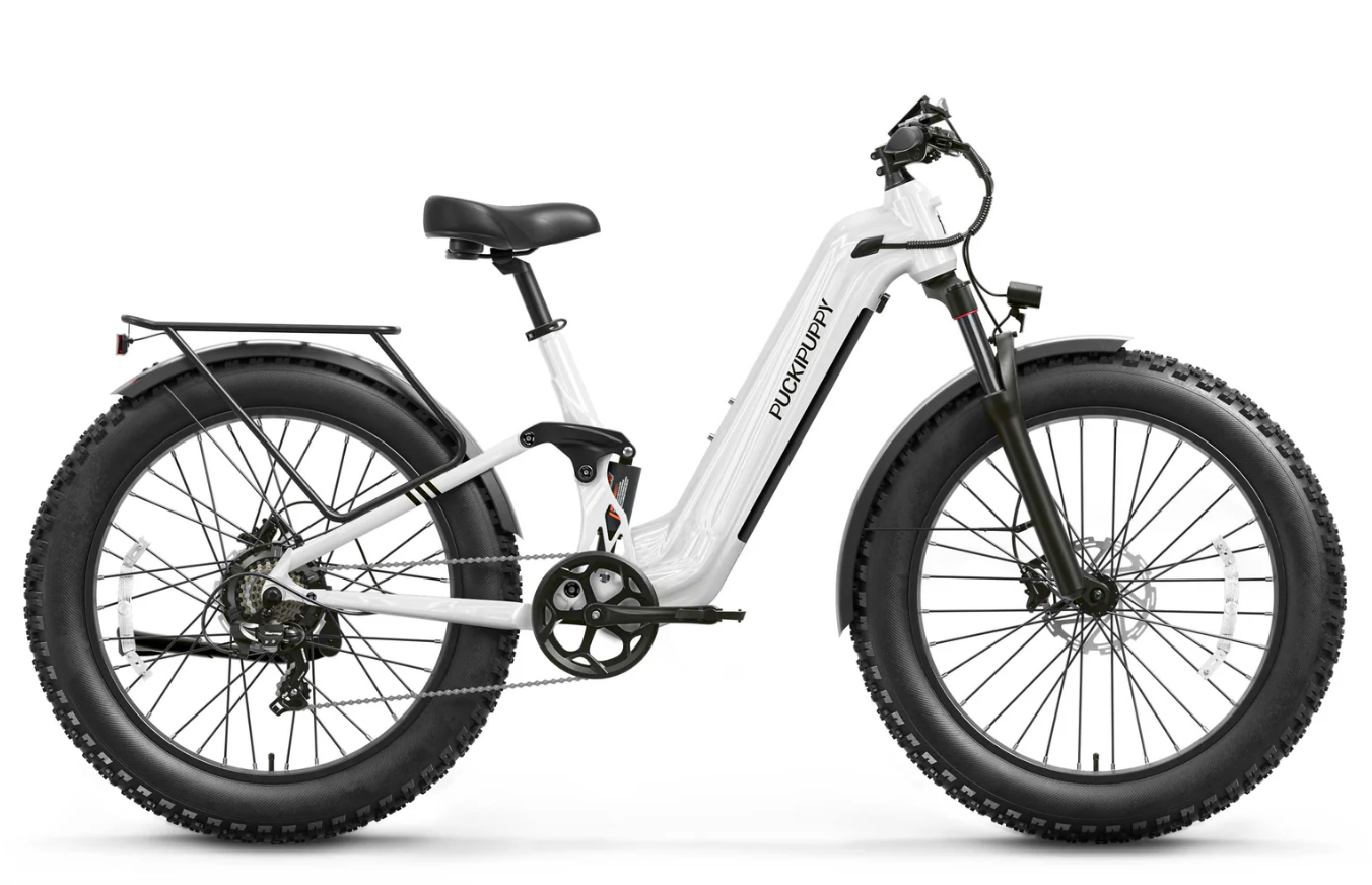 Boxer ST Ebike