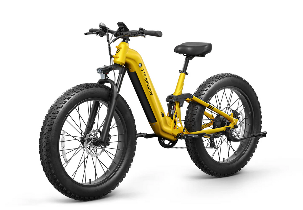 Boxer ST Ebike