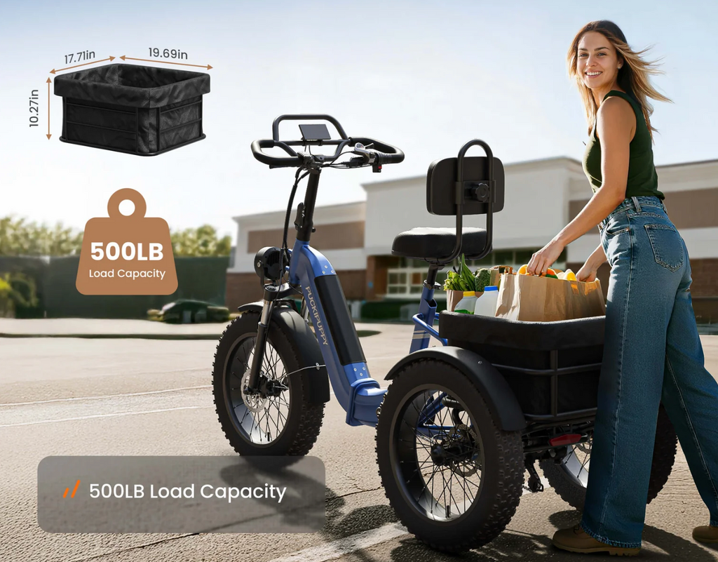 Rottweiler Electric Tricycle