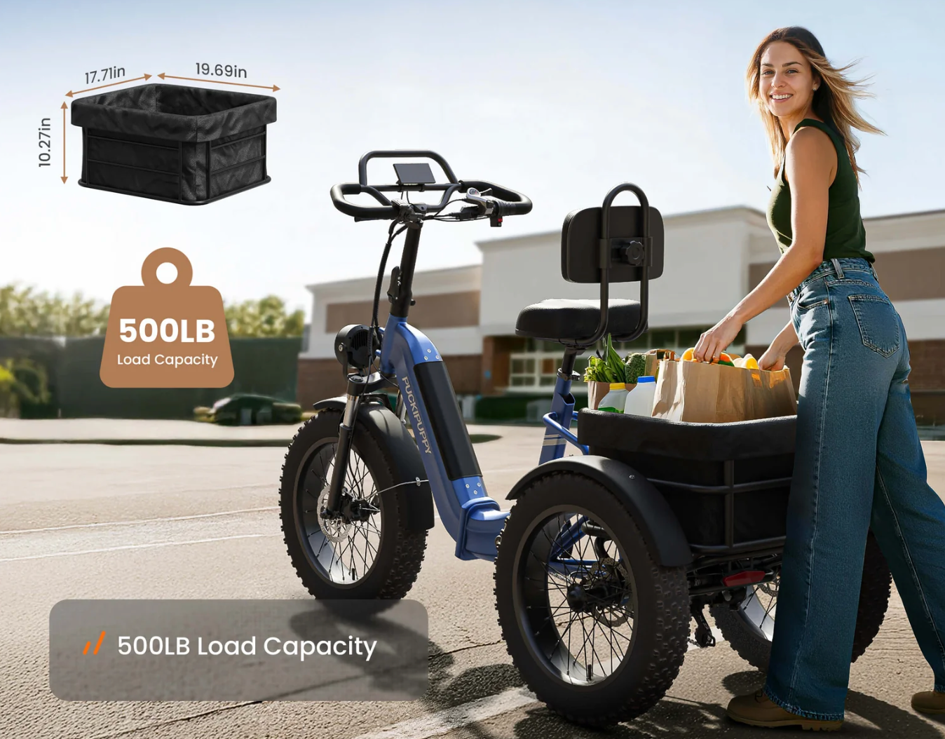 Rottweiler Electric Tricycle