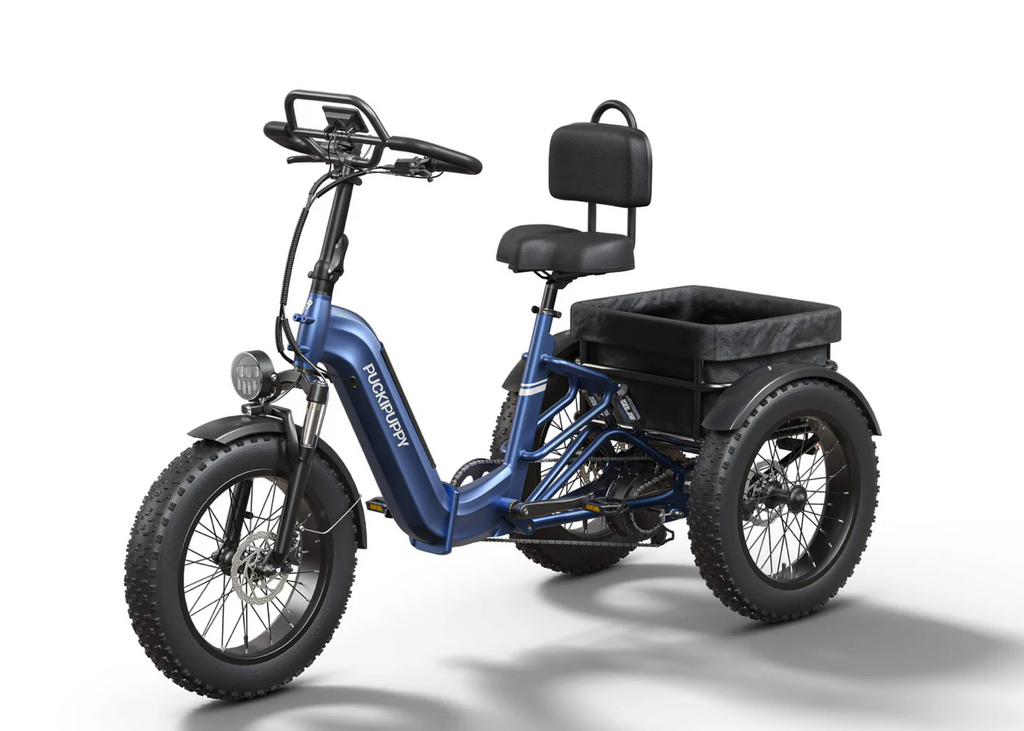 Rottweiler Electric Tricycle