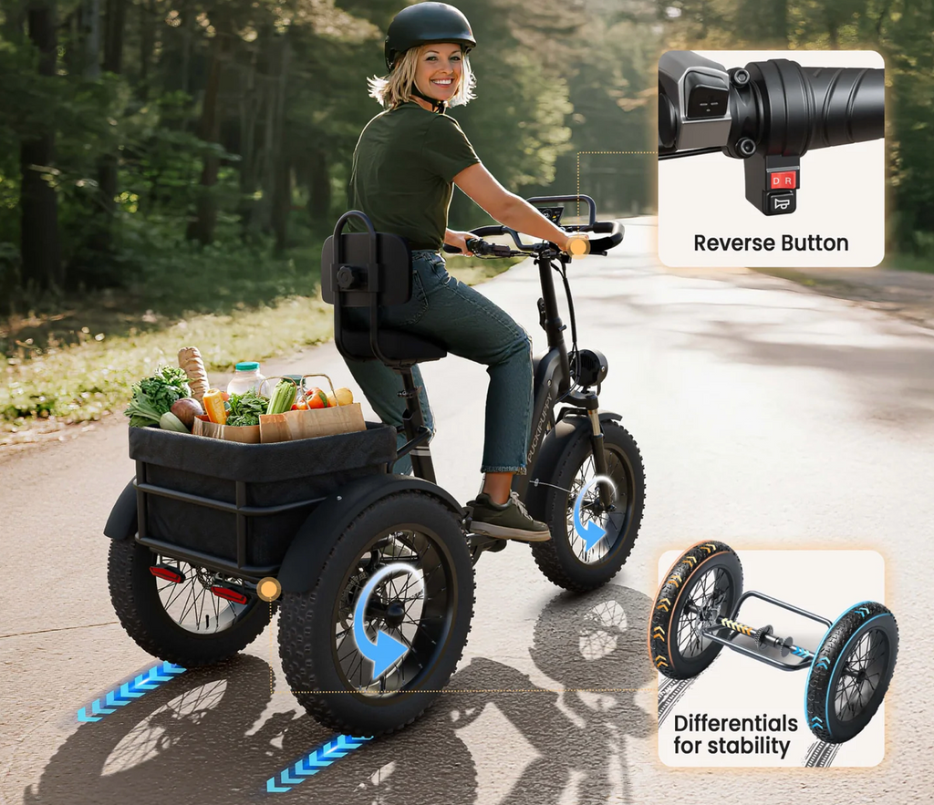 Rottweiler Electric Tricycle