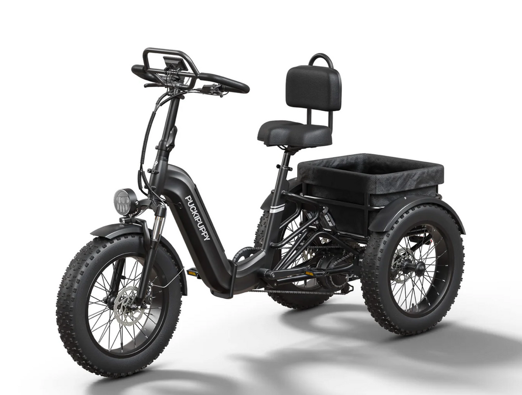 Rottweiler Electric Tricycle