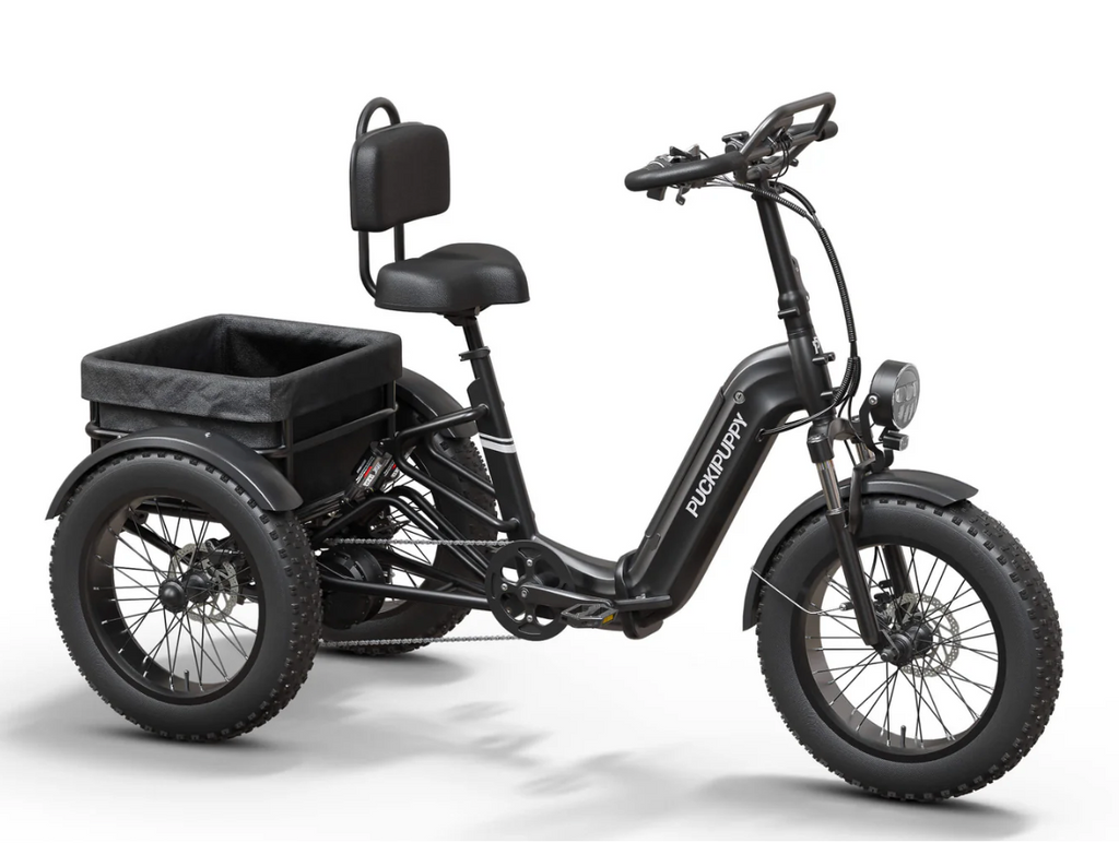 Rottweiler Electric Tricycle